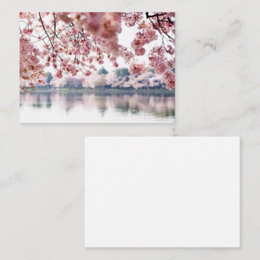 さくらんぼ花 名刺 (正面/裏面)