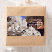 さくらんぼ花。春。 ラベル (インサイチュ)