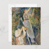 さくらんぼ選択 ポストカード (正面/裏面)