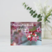 さくらんぼ開花インHuntingtonビーチ，カリフォルニア ポストカード (スタンド正面)