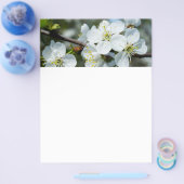 さくらんぼ開花 チラシ (シングル)