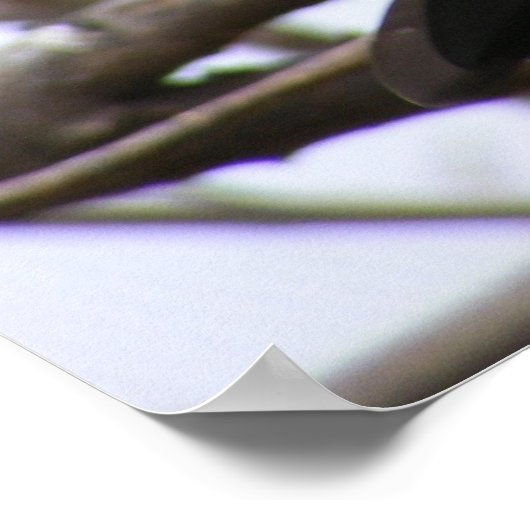 さくらんぼ頭1 ポスター (角)