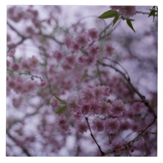 さくらんぼ風の3Dエフェクトタイル6x6インチの花 タイル