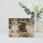 さくらんぼ、アリゾナ ポストカード (スタンド正面)