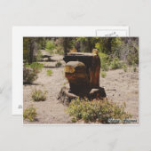 さくらんぼ、アリゾナ ポストカード (正面/裏面)