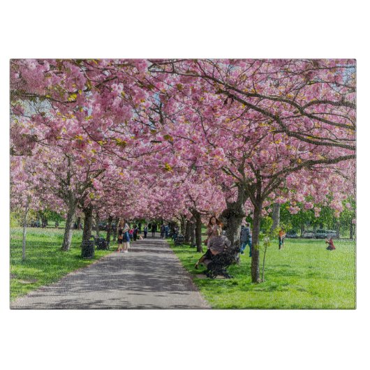 さくらんぼ カッティングボード (正面)