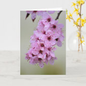 さくらんぼ カード (黄色い花)