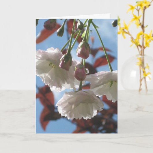 さくらんぼ カード (黄色い花)