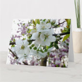 さくらんぼ カード (正面)