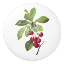 さくらんぼ セラミックノブ