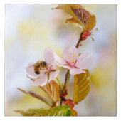 さくらんぼ タイル (正面)