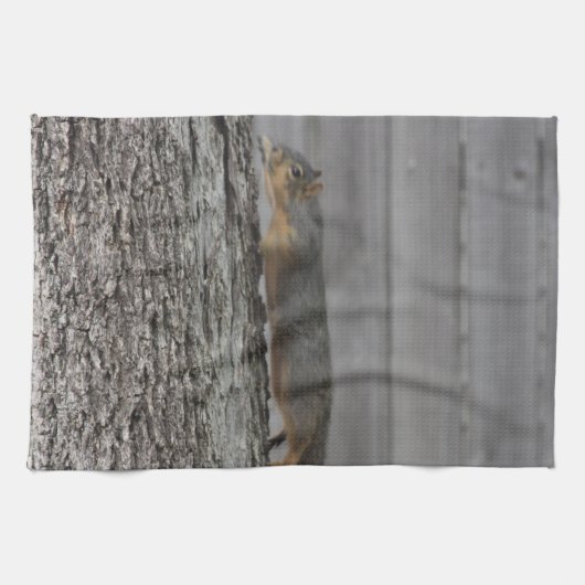 さくらんぼ タオル (横)