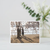「さくらんぼ・ツリーの下の影」はがきき ポストカード (スタンド正面)