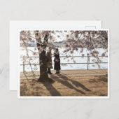 「さくらんぼ・ツリーの下の影」はがきき ポストカード (正面/裏面)