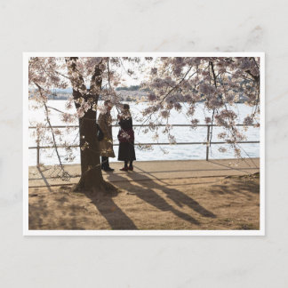 「さくらんぼ・ツリーの下の影」はがきき ポストカード