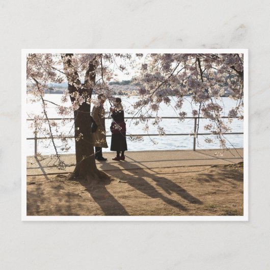 「さくらんぼ・ツリーの下の影」はがきき ポストカード (正面)