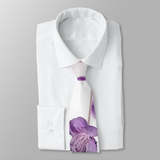 さくらんぼ ネクタイ (タイ)