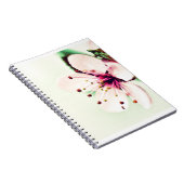 さくらんぼ ノートブック (右側)