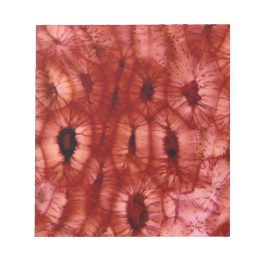 さくらんぼ・ピットからの細胞間切断 ノートパッド (正面)