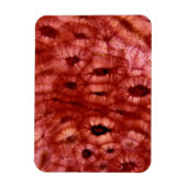 さくらんぼ・ピットからの細胞間切断 マグネット (縦)