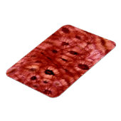 さくらんぼ・ピットからの細胞間切断 マグネット (左側)