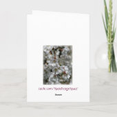 さくらんぼ·ブラウズ·イースター·カード シーズンカード (裏面)