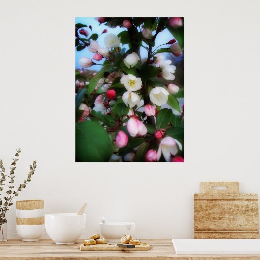 さくらんぼ ポスター (キッチン)