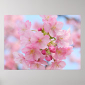 さくらんぼ ポスター (正面)