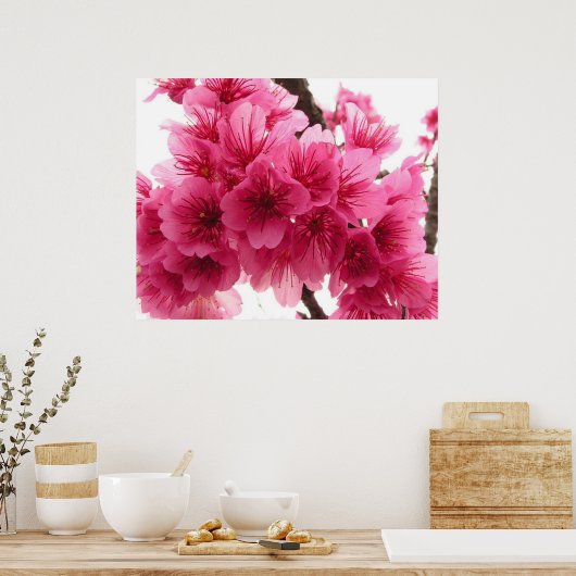 さくらんぼ ポスター (キッチン)