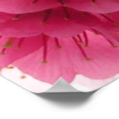 さくらんぼ ポスター (角)