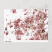 さくらんぼ ポストカード (正面)