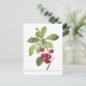 さくらんぼ ポストカード (スタンド正面)