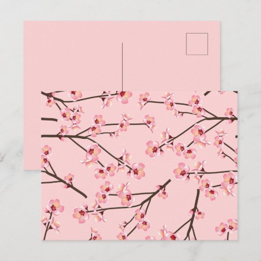 さくらんぼ ポストカード (正面/裏面)