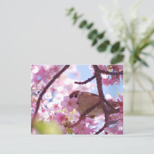 さくらんぼ ポストカード (スタンド正面)