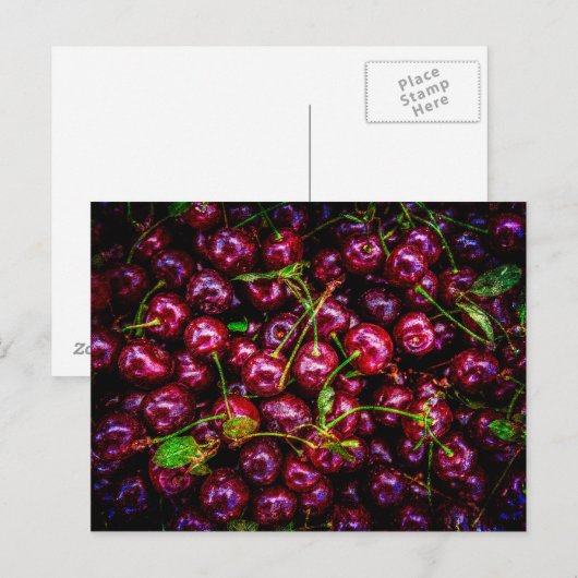さくらんぼ ポストカード (正面/裏面)