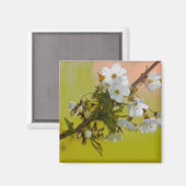 さくらんぼ マグネット (正面/裏面)