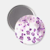 さくらんぼ マグネット (正面/裏面)