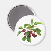 さくらんぼ マグネット (正面/裏面)