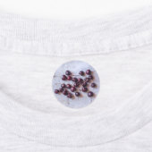 さくらんぼ ラベル (貼付)