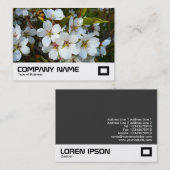 さくらんぼ 名刺 (正面/裏面)