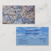 さくらんぼ 名刺 (正面/裏面)