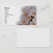 さくらんぼ 名刺 (正面/裏面)