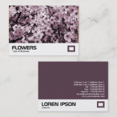 さくらんぼ 名刺 (正面/裏面)