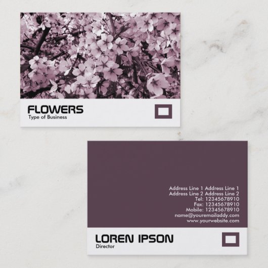 さくらんぼ 名刺 (正面/裏面)