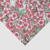 さくらんぼ 薄葉紙 (詳細)