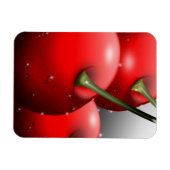 さくらんぼ（露） マグネット (横)