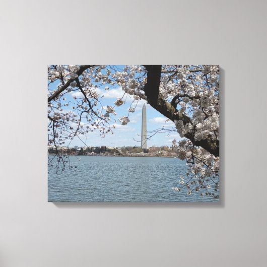 さくらんぼ#1キャンバス上に咲く20 "x 16" キャンバスプリント (正面)