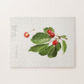 さくらんぼ（Prunus Avium）果物の水彩画 ジグソーパズル (横)