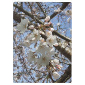 さくらんぼBlossomクリップボード クリップボード (裏面)