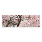 さくらんぼBlossomブックマーク